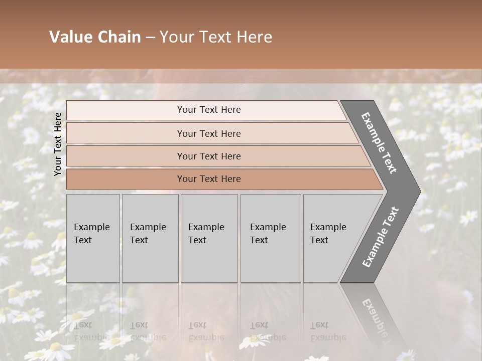 Golden Retriever Sitting In Field Of Daisies PowerPoint Template