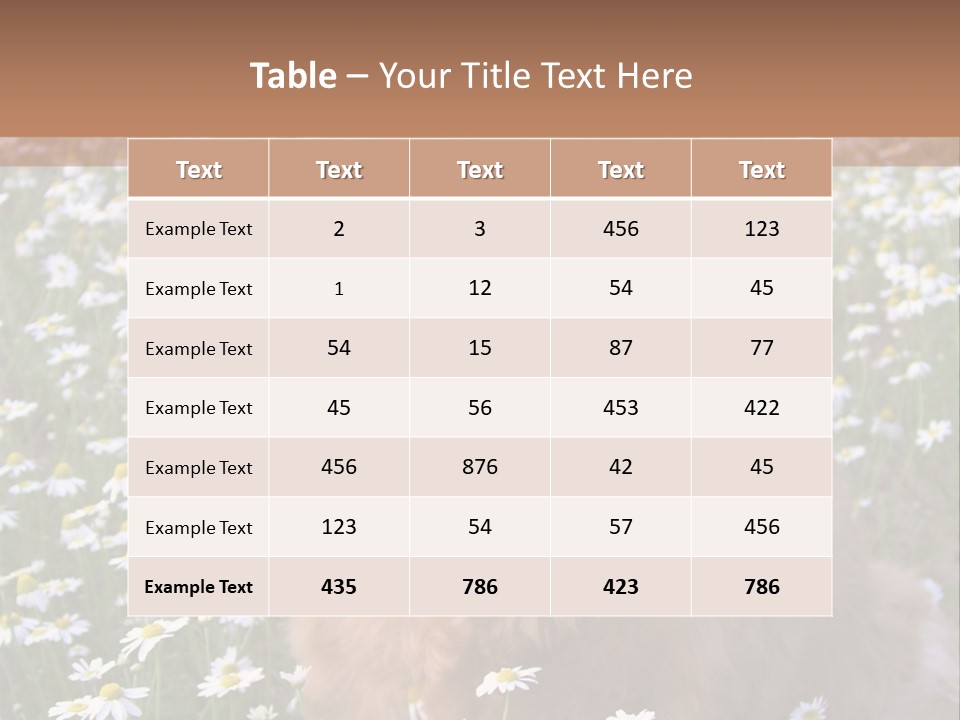 Golden Retriever Sitting In Field Of Daisies PowerPoint Template