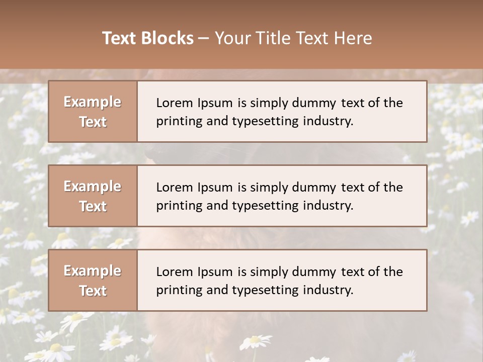 Golden Retriever Sitting In Field Of Daisies PowerPoint Template