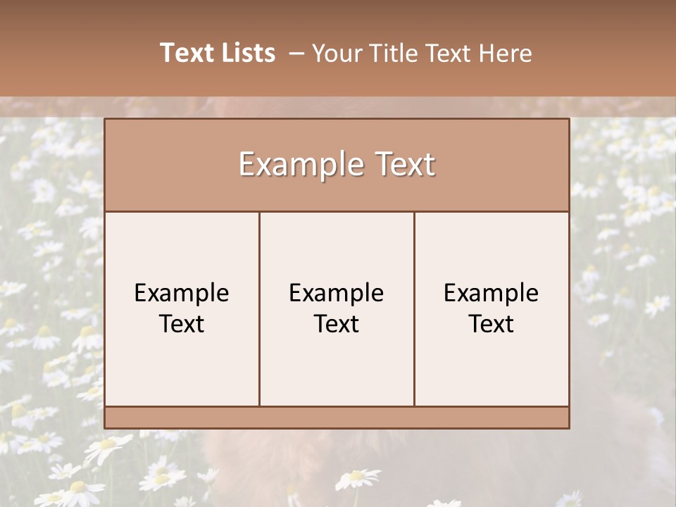 Golden Retriever Sitting In Field Of Daisies PowerPoint Template