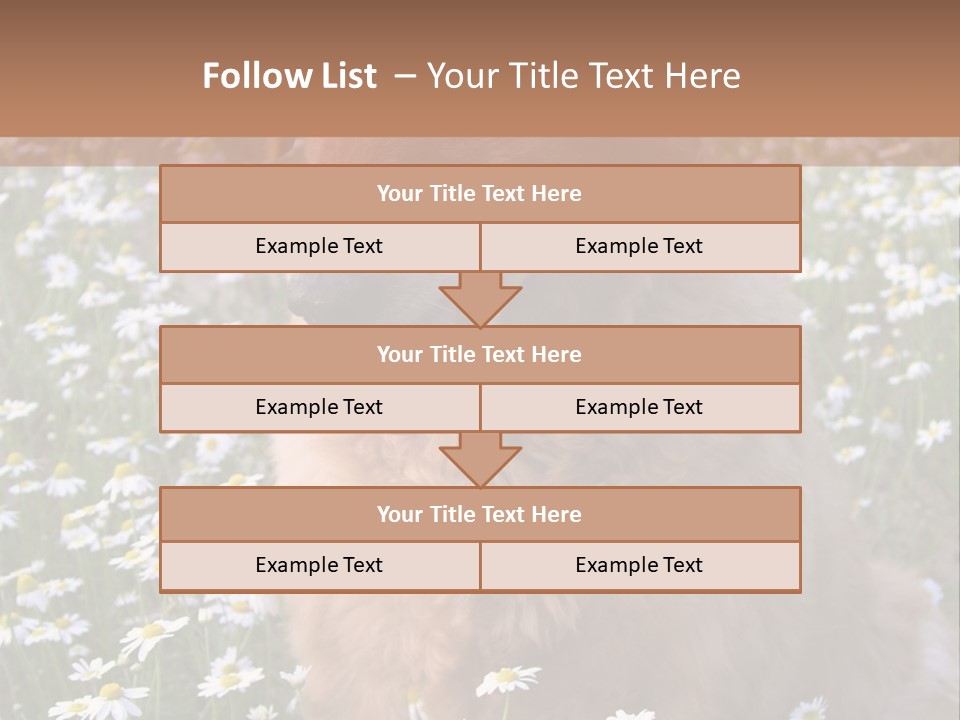 Golden Retriever Sitting In Field Of Daisies PowerPoint Template