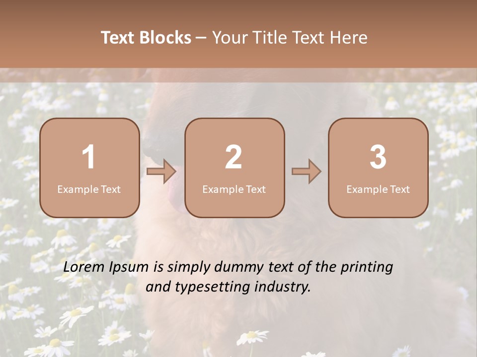 Golden Retriever Sitting In Field Of Daisies PowerPoint Template