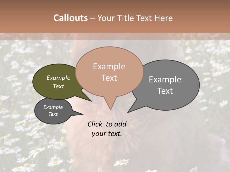 Golden Retriever Sitting In Field Of Daisies PowerPoint Template