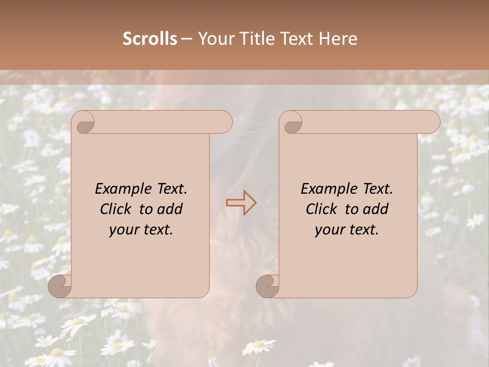 Golden Retriever Sitting In Field Of Daisies PowerPoint Template