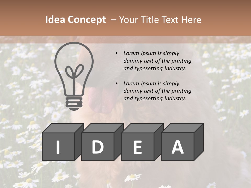 Golden Retriever Sitting In Field Of Daisies PowerPoint Template