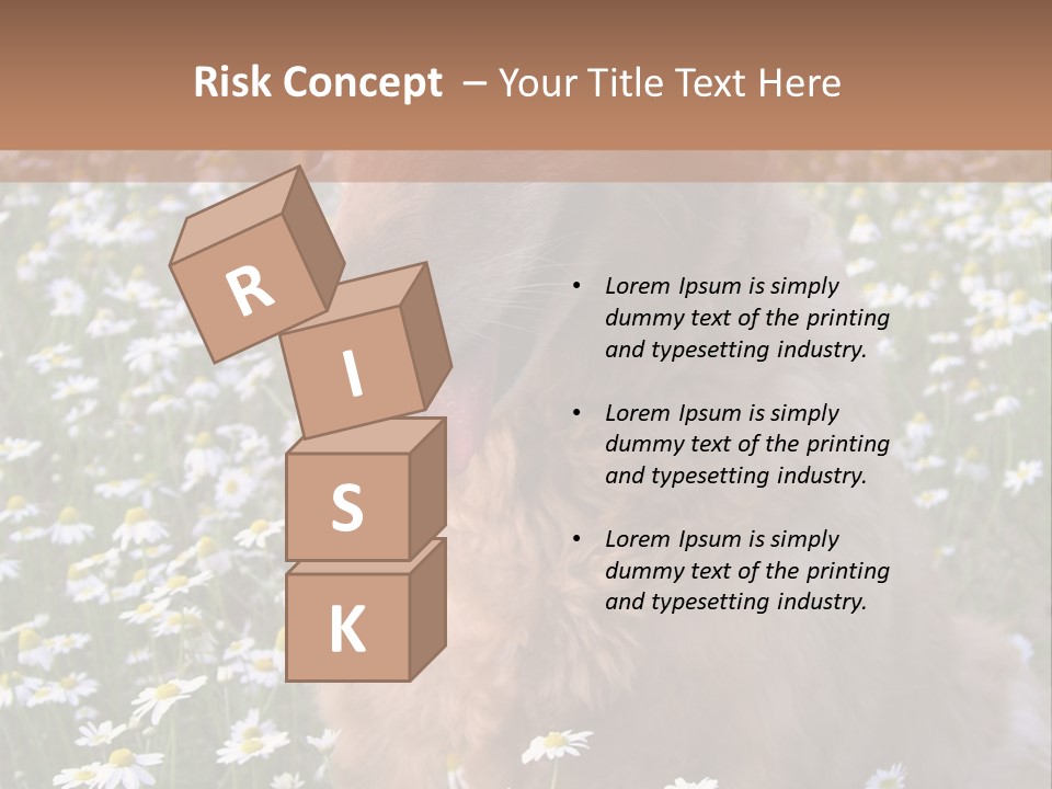 Golden Retriever Sitting In Field Of Daisies PowerPoint Template