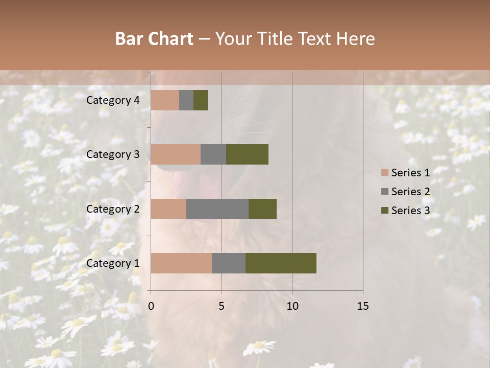 Golden Retriever Sitting In Field Of Daisies PowerPoint Template