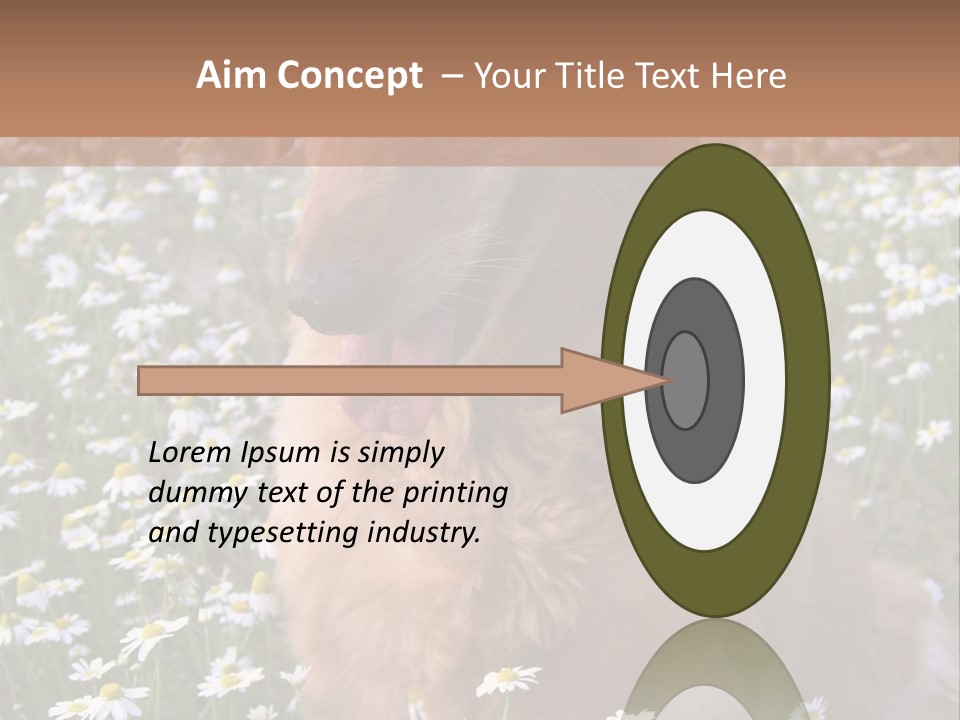Golden Retriever Sitting In Field Of Daisies PowerPoint Template
