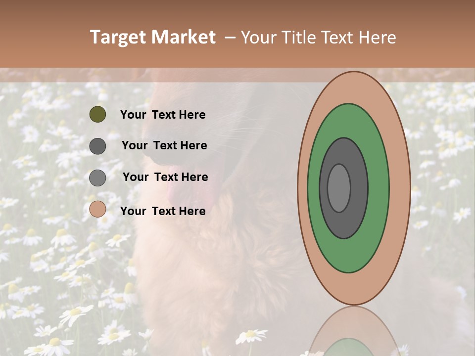 Golden Retriever Sitting In Field Of Daisies PowerPoint Template