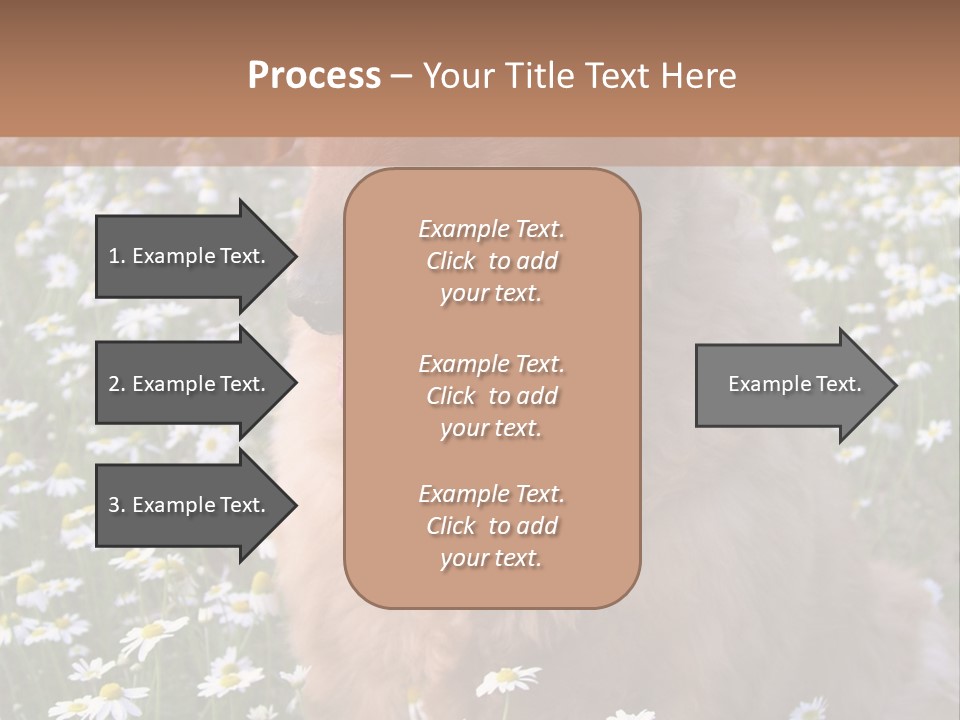 Golden Retriever Sitting In Field Of Daisies PowerPoint Template