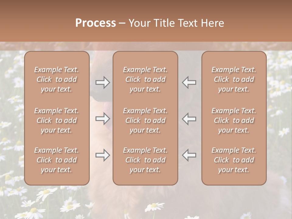 Golden Retriever Sitting In Field Of Daisies PowerPoint Template
