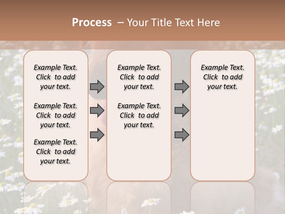 Golden Retriever Sitting In Field Of Daisies PowerPoint Template