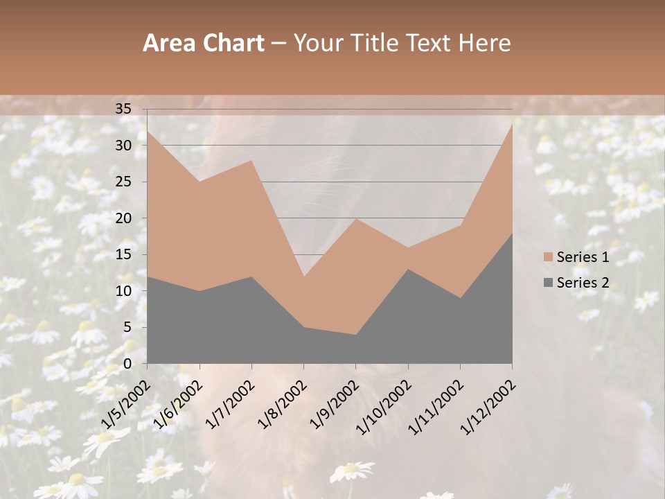 Golden Retriever Sitting In Field Of Daisies PowerPoint Template