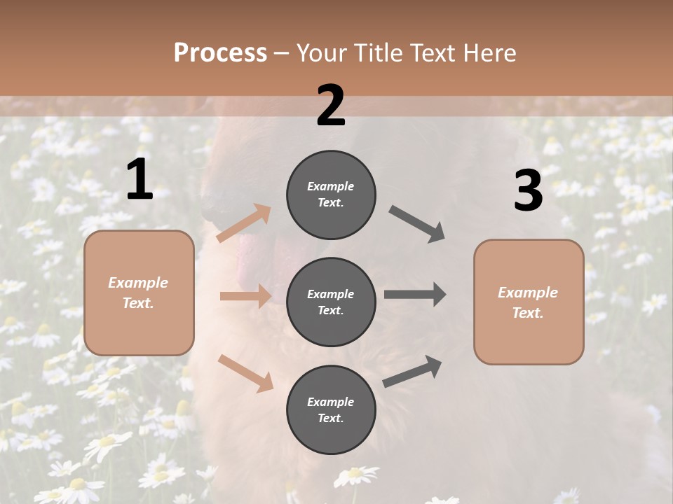 Golden Retriever Sitting In Field Of Daisies PowerPoint Template