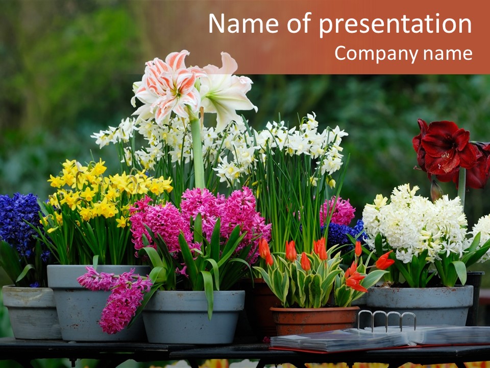 Beautiful Garden Flowers In Spring PowerPoint Template