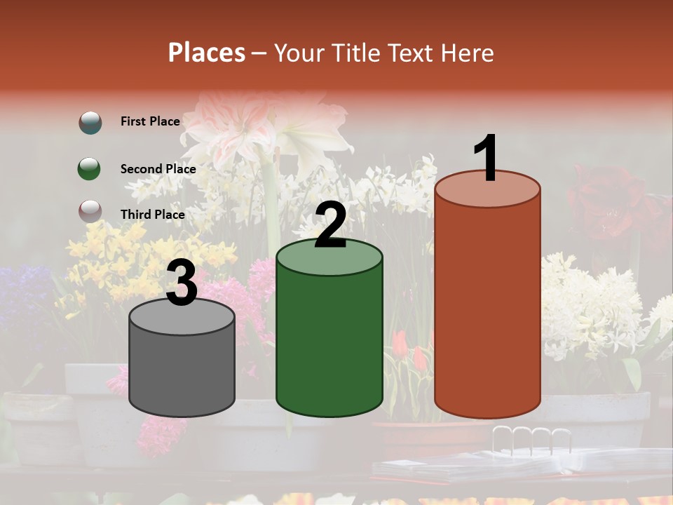 Beautiful Garden Flowers In Spring PowerPoint Template