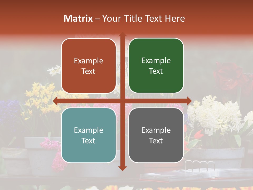 Beautiful Garden Flowers In Spring PowerPoint Template