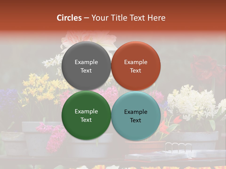 Beautiful Garden Flowers In Spring PowerPoint Template