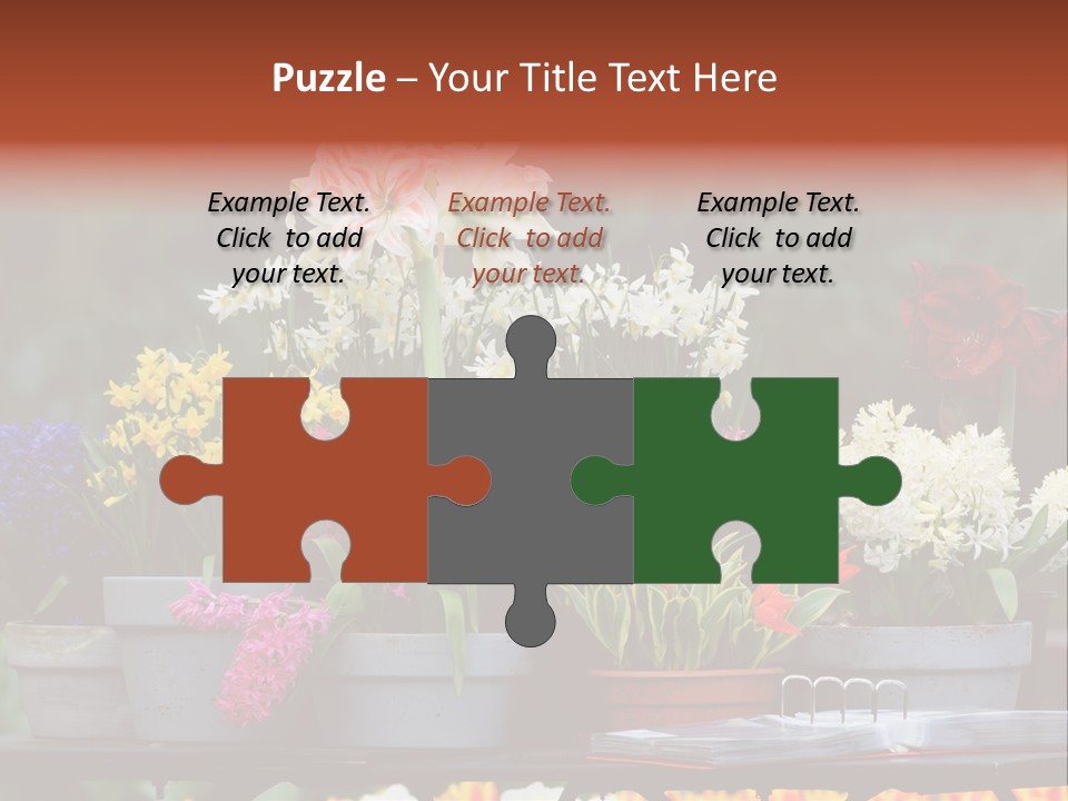 Beautiful Garden Flowers In Spring PowerPoint Template