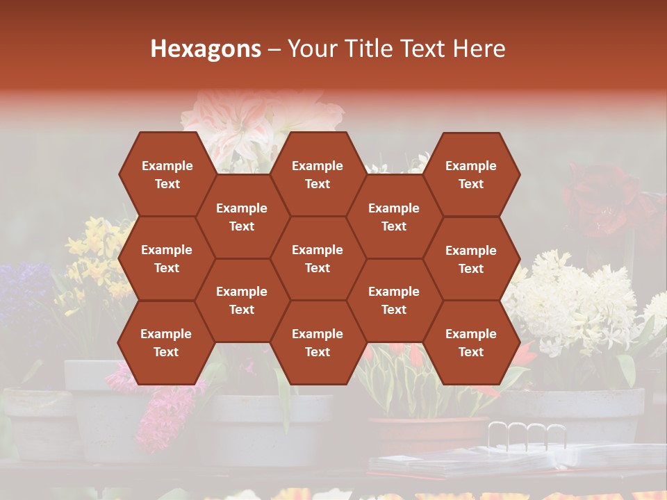 Beautiful Garden Flowers In Spring PowerPoint Template