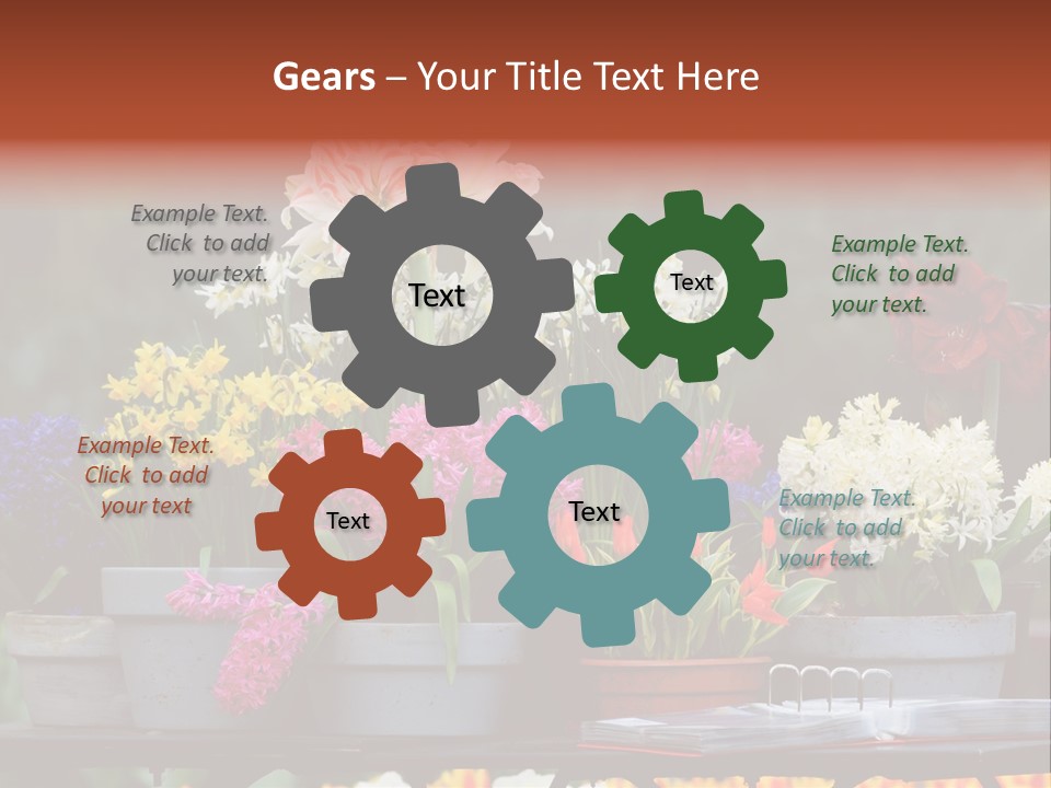 Beautiful Garden Flowers In Spring PowerPoint Template