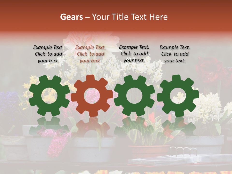 Beautiful Garden Flowers In Spring PowerPoint Template