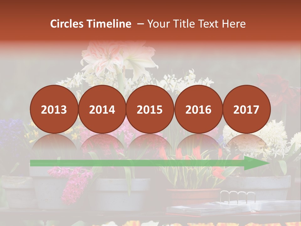 Beautiful Garden Flowers In Spring PowerPoint Template