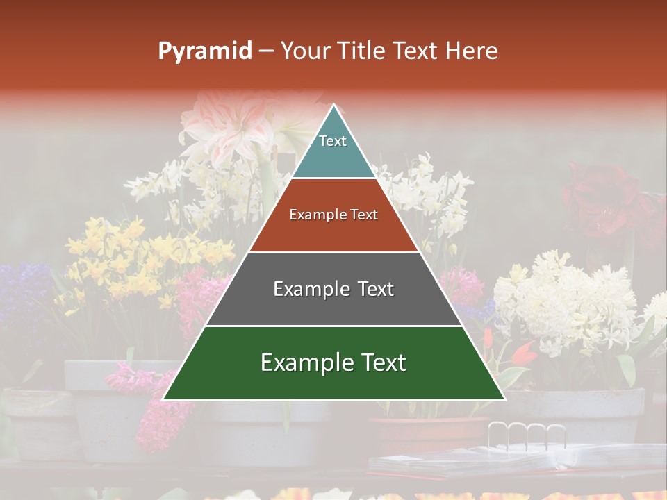 Beautiful Garden Flowers In Spring PowerPoint Template