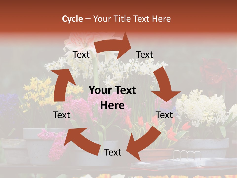 Beautiful Garden Flowers In Spring PowerPoint Template