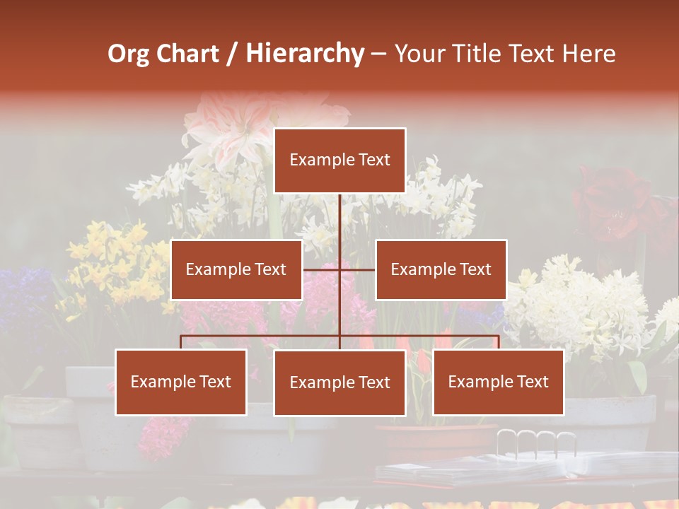 Beautiful Garden Flowers In Spring PowerPoint Template
