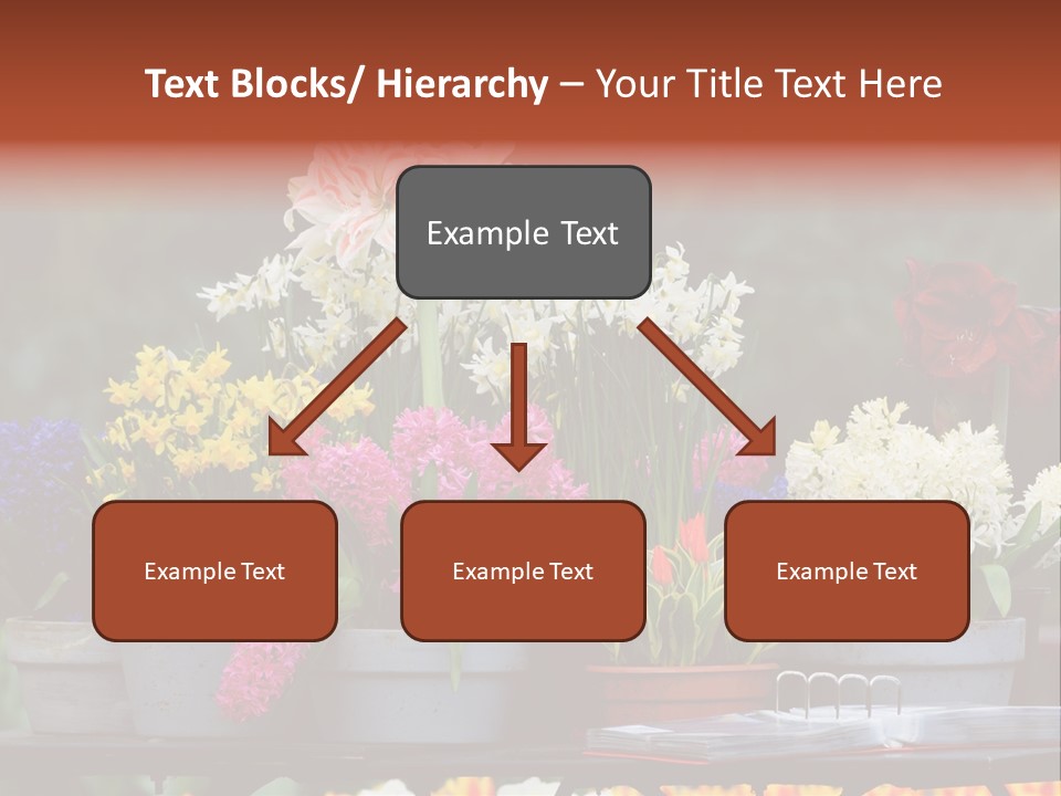 Beautiful Garden Flowers In Spring PowerPoint Template