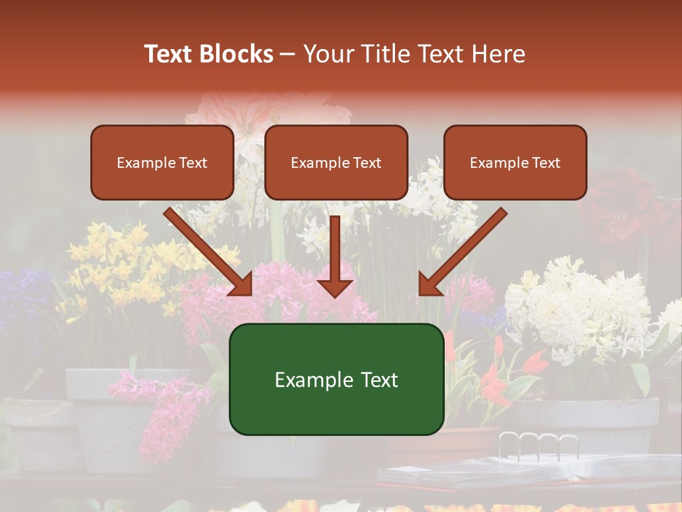 Beautiful Garden Flowers In Spring PowerPoint Template