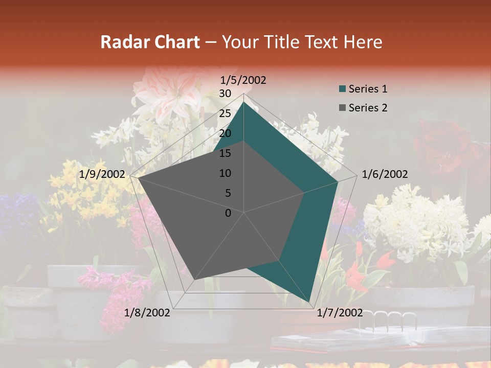 Beautiful Garden Flowers In Spring PowerPoint Template