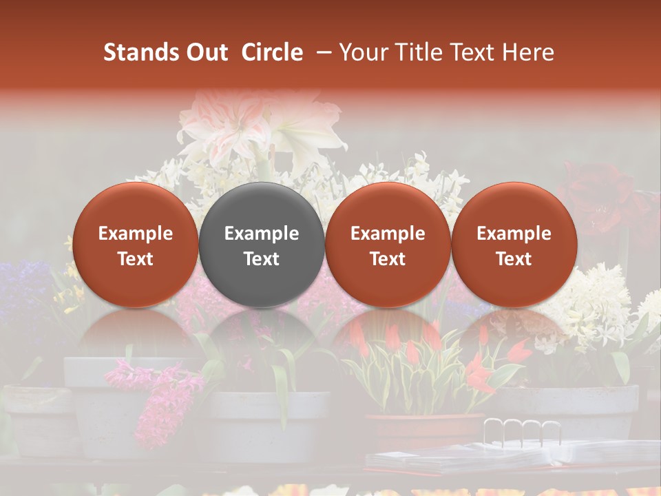 Beautiful Garden Flowers In Spring PowerPoint Template