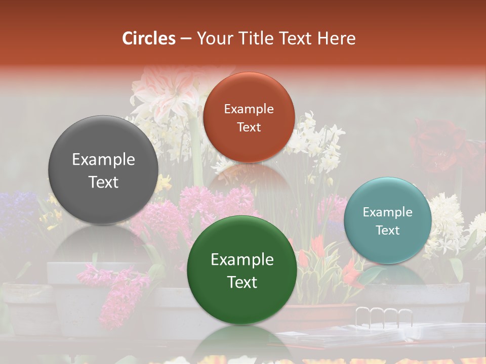 Beautiful Garden Flowers In Spring PowerPoint Template