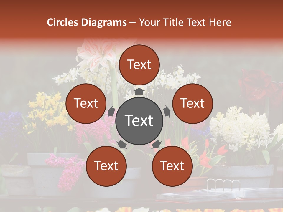 Beautiful Garden Flowers In Spring PowerPoint Template