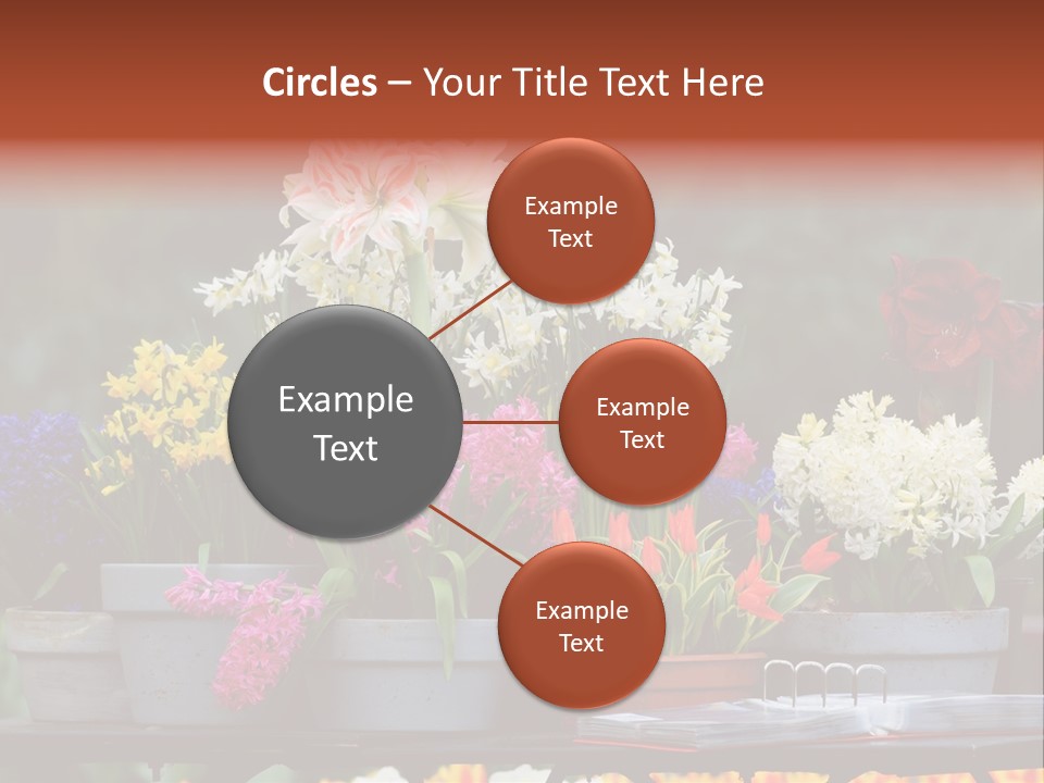 Beautiful Garden Flowers In Spring PowerPoint Template