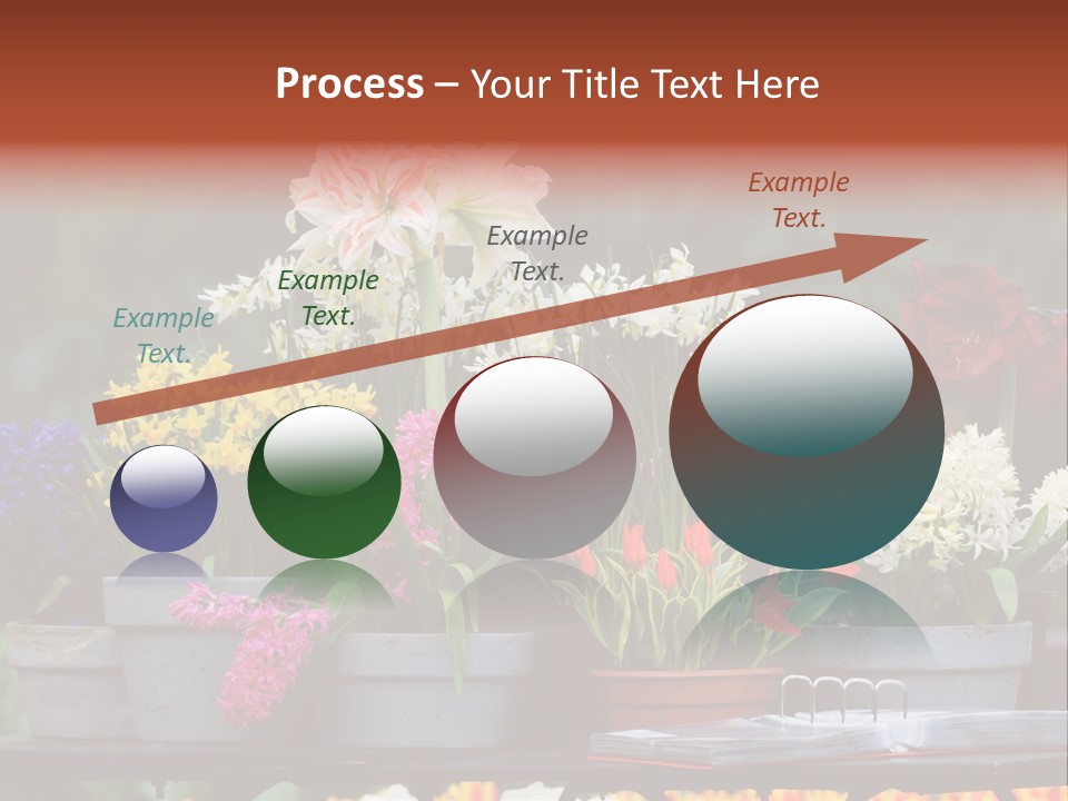 Beautiful Garden Flowers In Spring PowerPoint Template