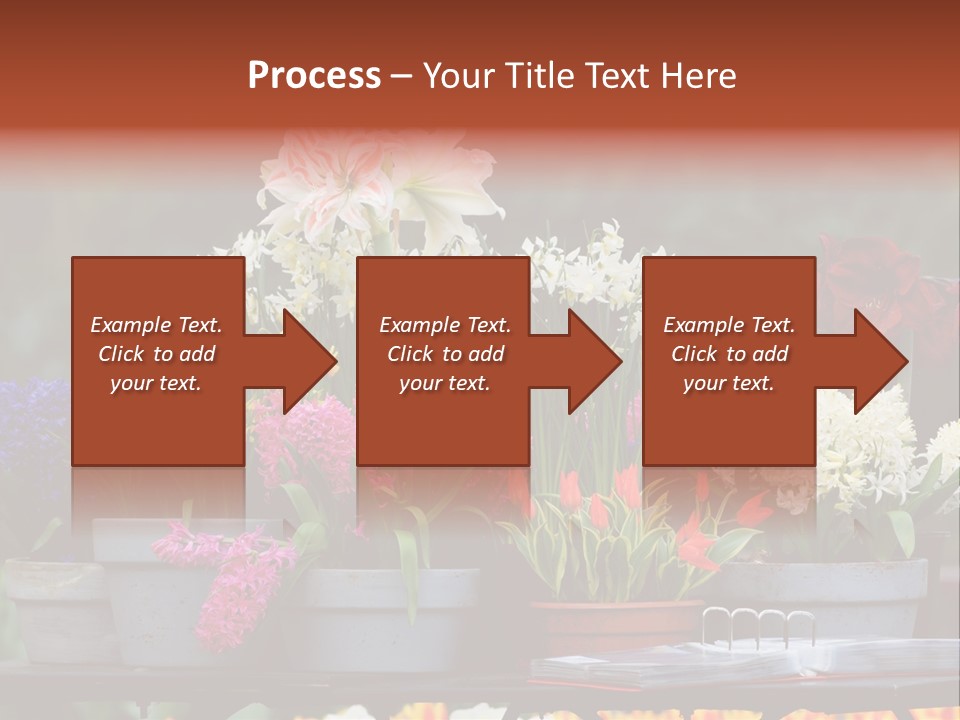 Beautiful Garden Flowers In Spring PowerPoint Template