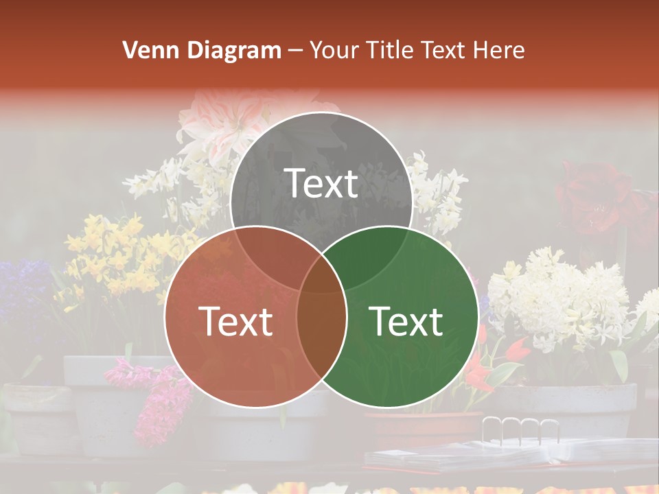 Beautiful Garden Flowers In Spring PowerPoint Template