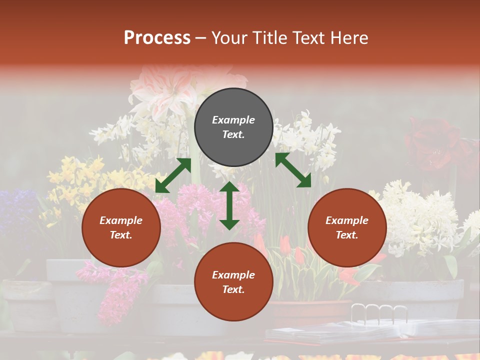 Beautiful Garden Flowers In Spring PowerPoint Template