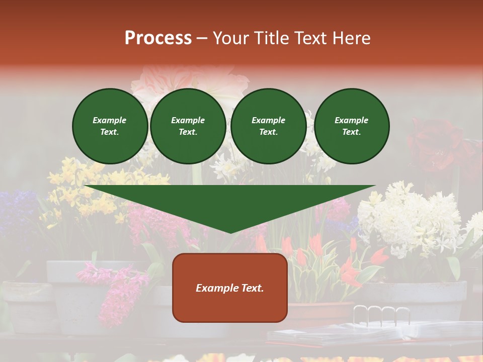 Beautiful Garden Flowers In Spring PowerPoint Template