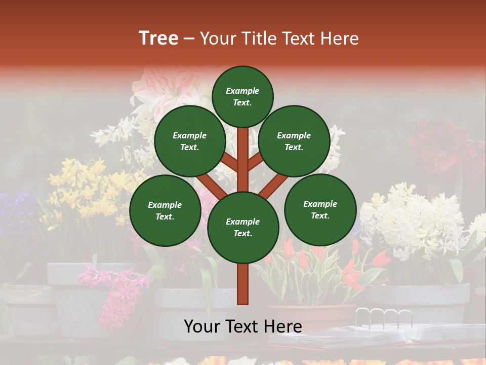 Beautiful Garden Flowers In Spring PowerPoint Template