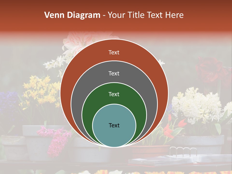 Beautiful Garden Flowers In Spring PowerPoint Template