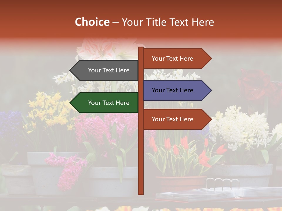 Beautiful Garden Flowers In Spring PowerPoint Template