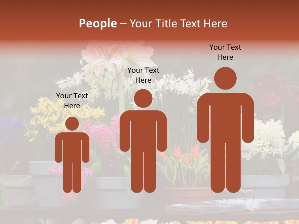 Beautiful Garden Flowers In Spring PowerPoint Template