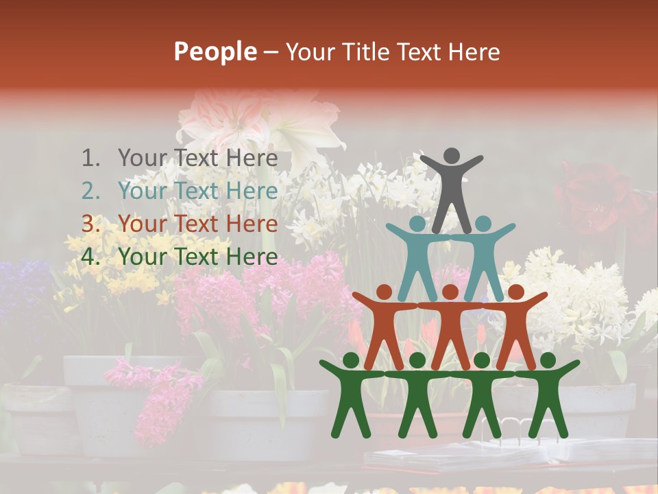 Beautiful Garden Flowers In Spring PowerPoint Template