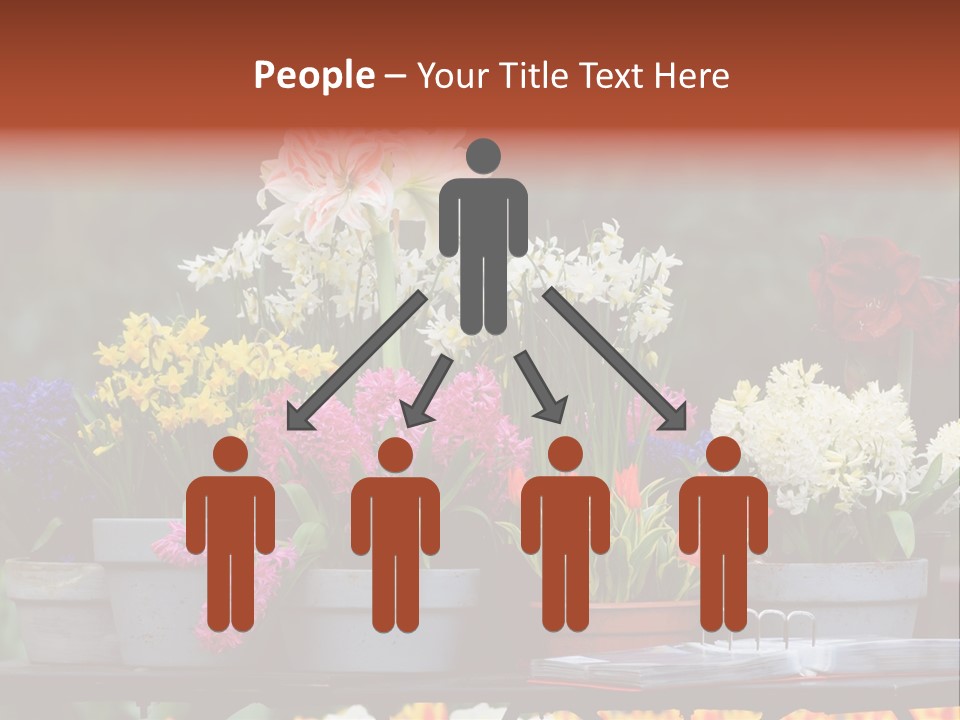 Beautiful Garden Flowers In Spring PowerPoint Template