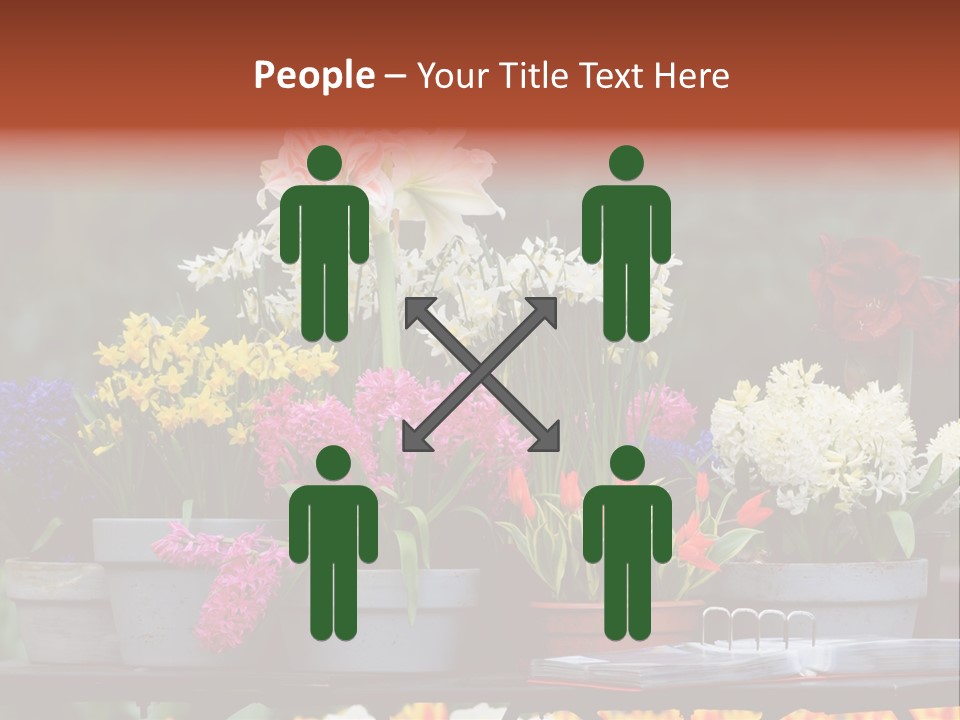 Beautiful Garden Flowers In Spring PowerPoint Template