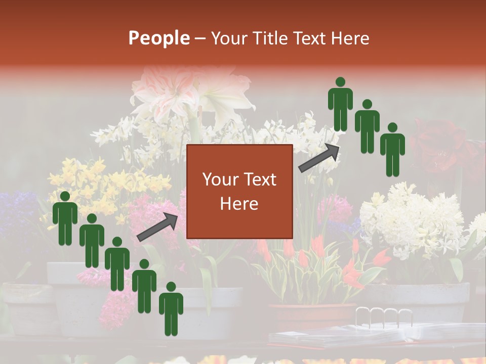 Beautiful Garden Flowers In Spring PowerPoint Template